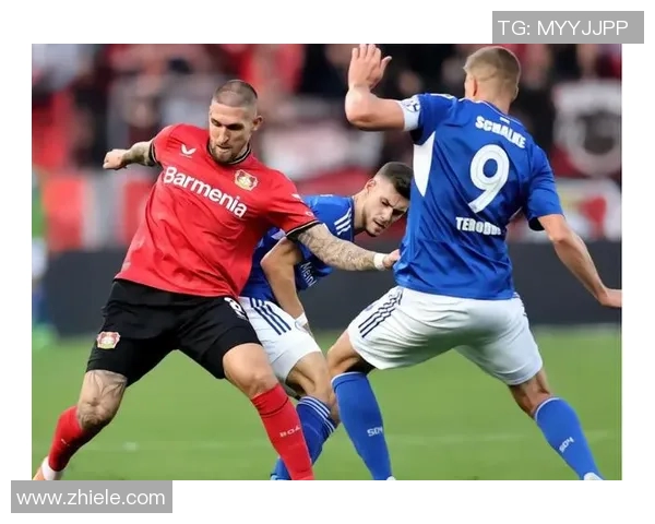 沙尔克04不敌霍芬海姆，德甲排名继续垫底，陷入保级泥潭