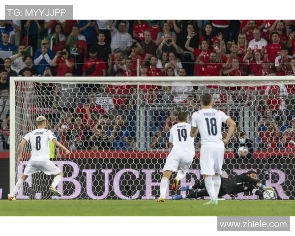 瑞士队失利与意大利，欧洲杯前景一片黯淡