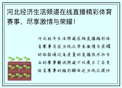河北经济生活频道在线直播精彩体育赛事，尽享激情与荣耀！